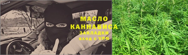 молекула духа Сосновка