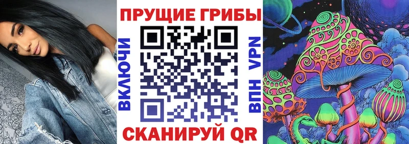 Галлюциногенные грибы Psilocybe  Хилок 
